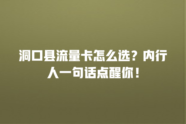 洞口县流量卡怎么选？内行人一句话点醒你！