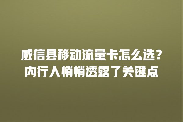 威信县移动流量卡怎么选？内行人悄悄透露了关键点