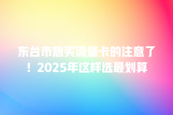 东台市想买流量卡的注意了！2025年这样选最划算