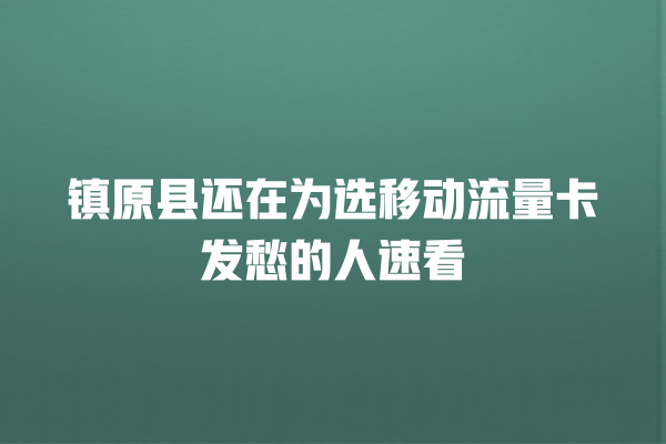 镇原县还在为选移动流量卡发愁的人速看