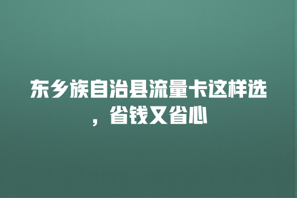 东乡族自治县流量卡这样选，省钱又省心
