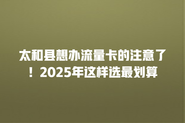 太和县想办流量卡的注意了！2025年这样选最划算