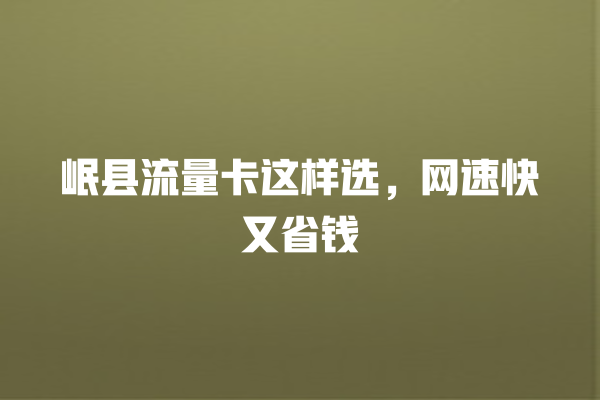 岷县流量卡这样选，网速快又省钱