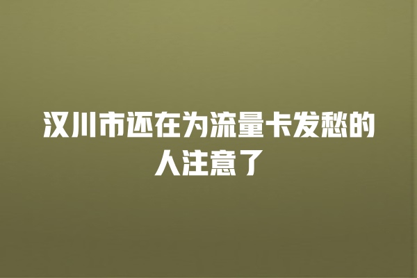 汉川市还在为流量卡发愁的人注意了