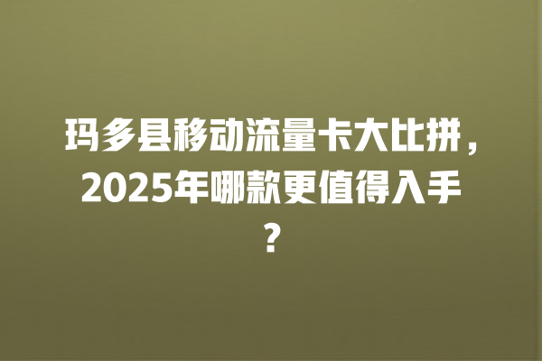 玛多县移动流量卡大比拼，2025年哪款更值得入手？