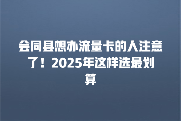 会同县想办流量卡的人注意了！2025年这样选最划算