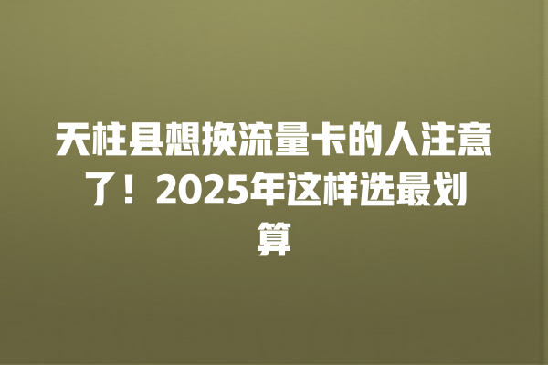 天柱县想换流量卡的人注意了！2025年这样选最划算