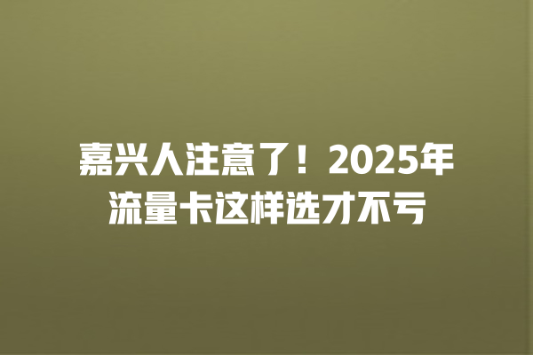 嘉兴人注意了！2025年流量卡这样选才不亏