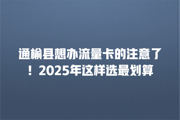 通榆县想办流量卡的注意了！2025年这样选最划算