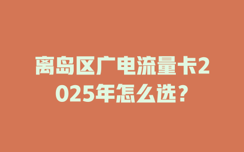 离岛区广电流量卡2025年怎么选？