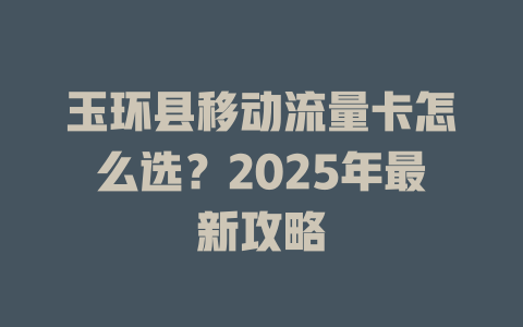 玉环县移动流量卡怎么选？2025年最新攻略