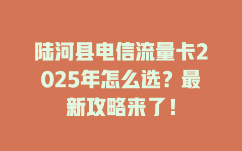 陆河县电信流量卡2025年怎么选？最新攻略来了！