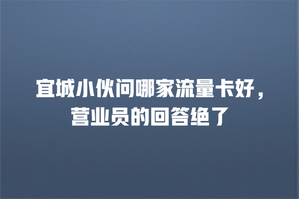 宜城小伙问哪家流量卡好，营业员的回答绝了