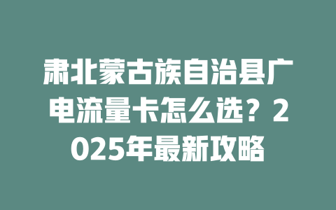 肃北蒙古族自治县广电流量卡怎么选？2025年最新攻略