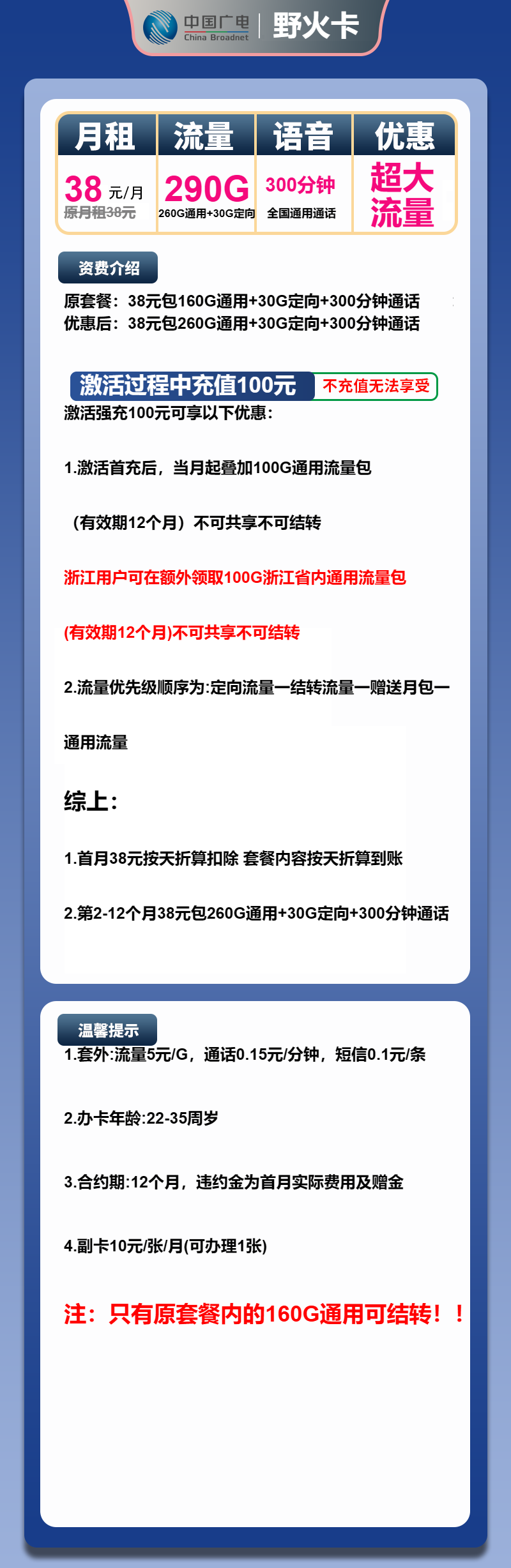 广电野火卡38元月包260G通用流量+30G定向流量+300分钟通话（长期套餐）