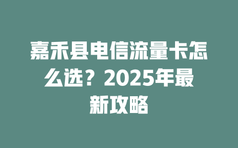 嘉禾县电信流量卡怎么选？2025年最新攻略