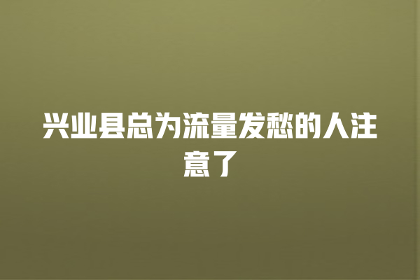 兴业县总为流量发愁的人注意了