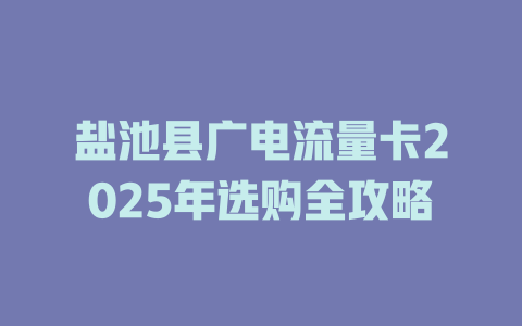 盐池县广电流量卡2025年选购全攻略