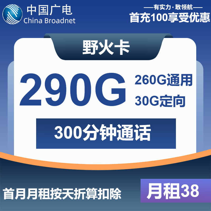 广电野火卡38元月包260G通用流量+30G定向流量+300分钟通话（长期套餐）