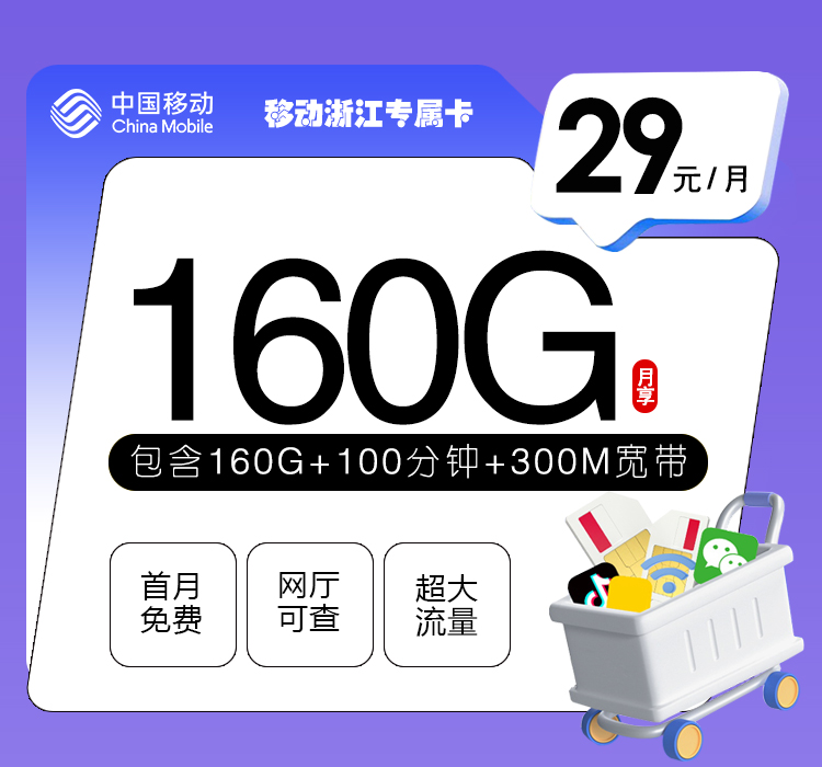 移动浙江专属卡29元月包15G通用流量+100G省内通用流量+45G定向流量+100分钟通话+300M宽带（仅发浙江省内）