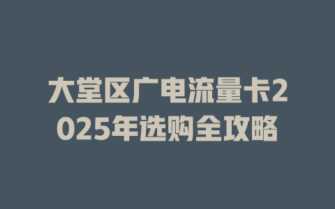 大堂区广电流量卡2025年选购全攻略