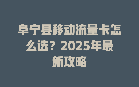 阜宁县移动流量卡怎么选？2025年最新攻略