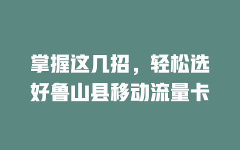 掌握这几招，轻松选好鲁山县移动流量卡