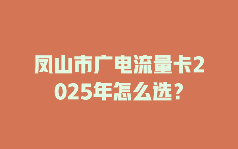 凤山市广电流量卡2025年怎么选？