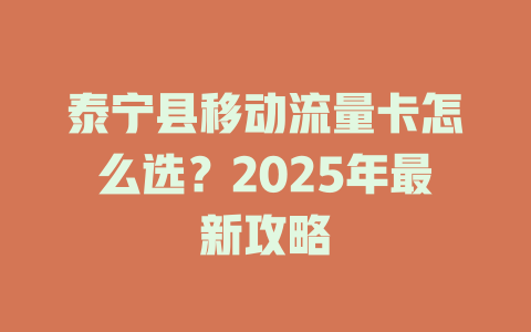 泰宁县移动流量卡怎么选？2025年最新攻略