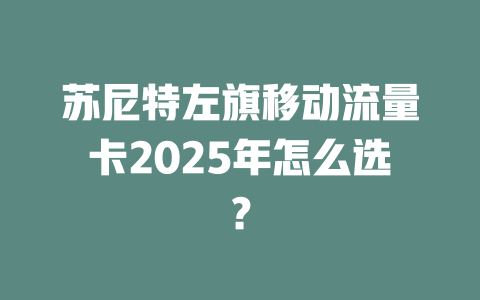 苏尼特左旗移动流量卡2025年怎么选？