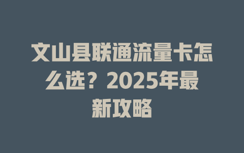 文山县联通流量卡怎么选？2025年最新攻略