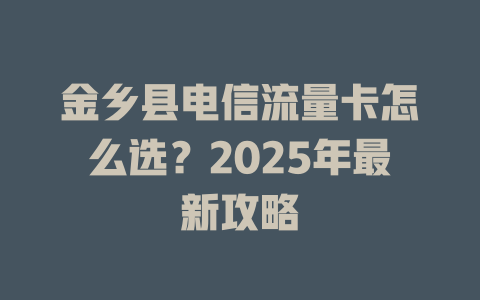 金乡县电信流量卡怎么选？2025年最新攻略