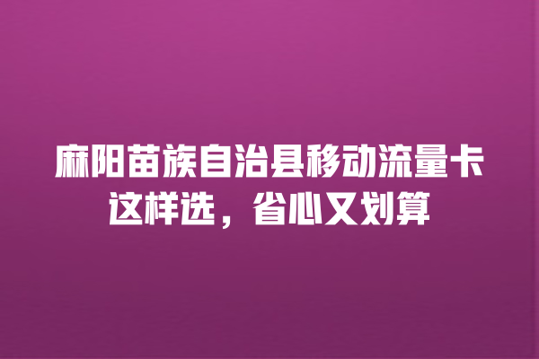 麻阳苗族自治县移动流量卡这样选，省心又划算