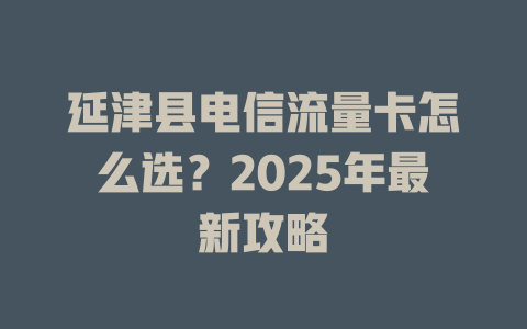 延津县电信流量卡怎么选？2025年最新攻略