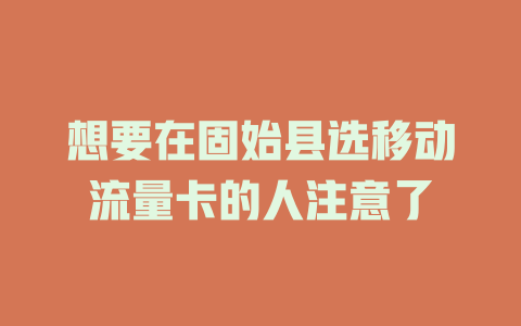 想要在固始县选移动流量卡的人注意了