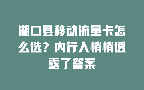 湖口县移动流量卡怎么选？内行人悄悄透露了答案