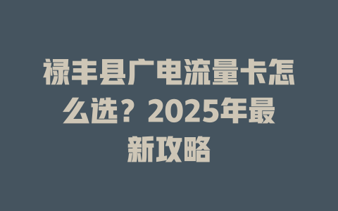 禄丰县广电流量卡怎么选？2025年最新攻略