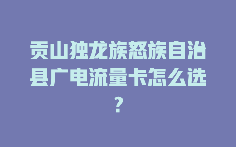 贡山独龙族怒族自治县广电流量卡怎么选？