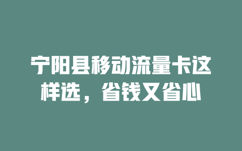 宁阳县移动流量卡这样选，省钱又省心