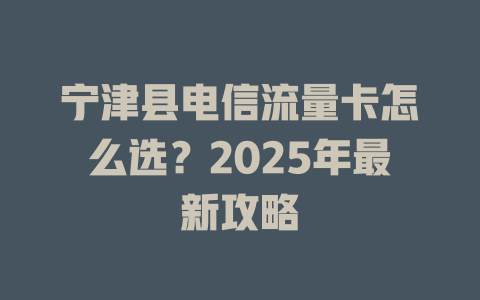 宁津县电信流量卡怎么选？2025年最新攻略