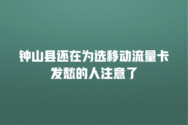 钟山县还在为选移动流量卡发愁的人注意了