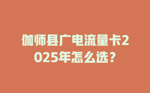 伽师县广电流量卡2025年怎么选？