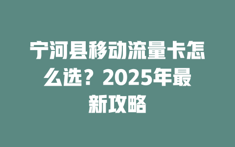 宁河县移动流量卡怎么选？2025年最新攻略