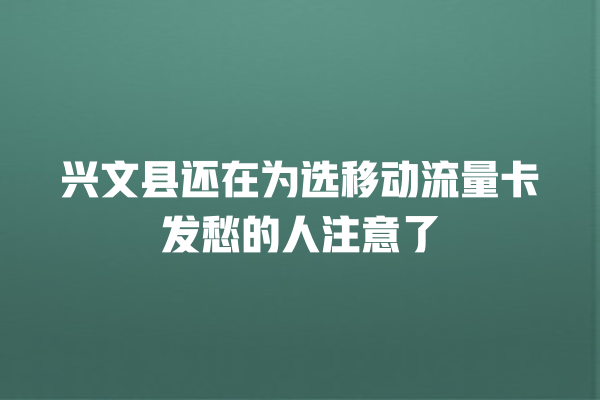 兴文县还在为选移动流量卡发愁的人注意了