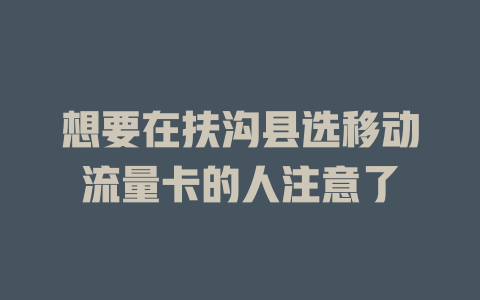想要在扶沟县选移动流量卡的人注意了