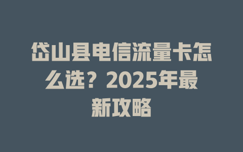 岱山县电信流量卡怎么选？2025年最新攻略