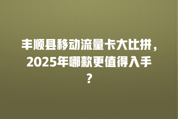 丰顺县移动流量卡大比拼，2025年哪款更值得入手？