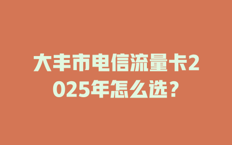 大丰市电信流量卡2025年怎么选？