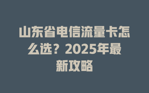 山东省电信流量卡怎么选？2025年最新攻略