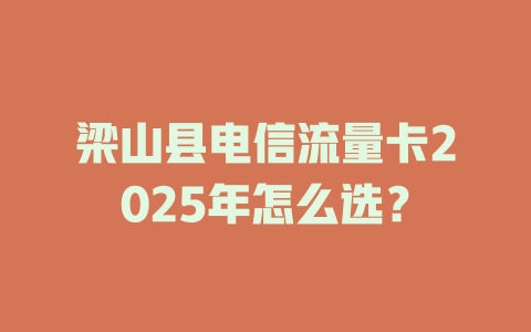 梁山县电信流量卡2025年怎么选？